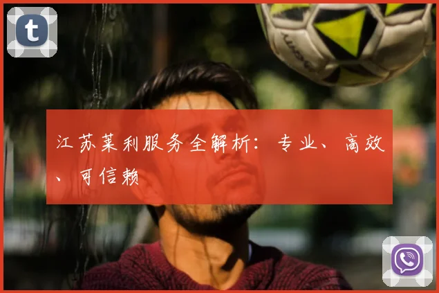 江苏莱利服务全解析:专业、高效、可信赖