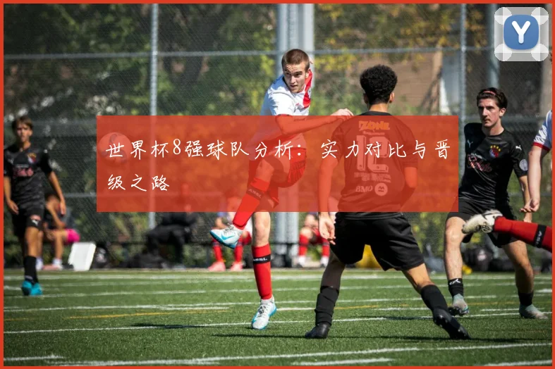 世界杯8强球队分析:实力对比与晋级之路
